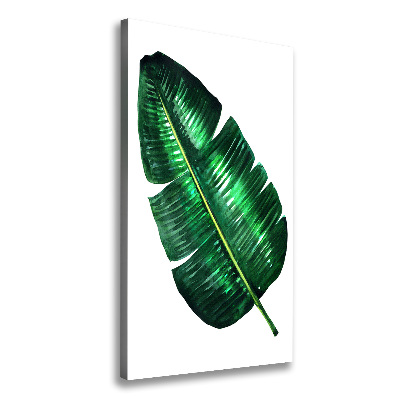 Canvas print Banana leaf