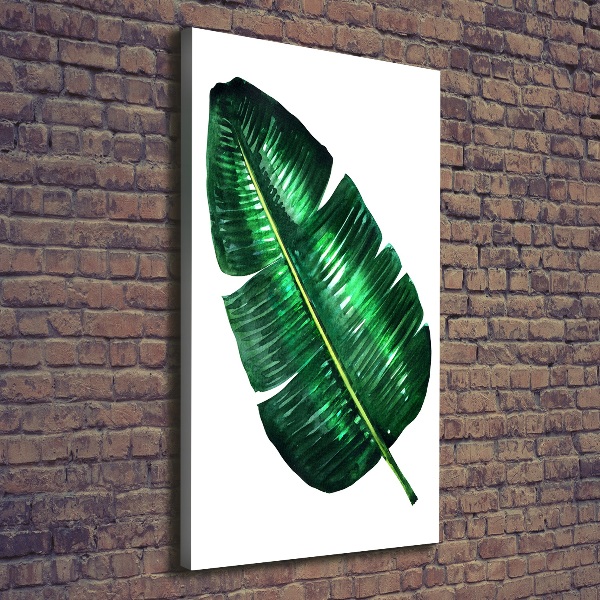 Canvas print Banana leaf