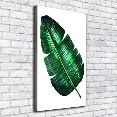 Canvas print Banana leaf