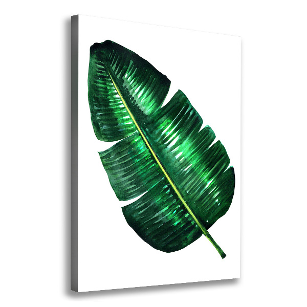 Canvas print Banana leaf