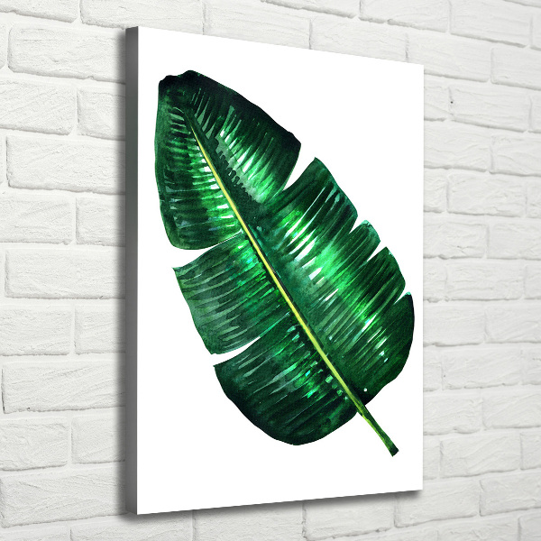 Canvas print Banana leaf