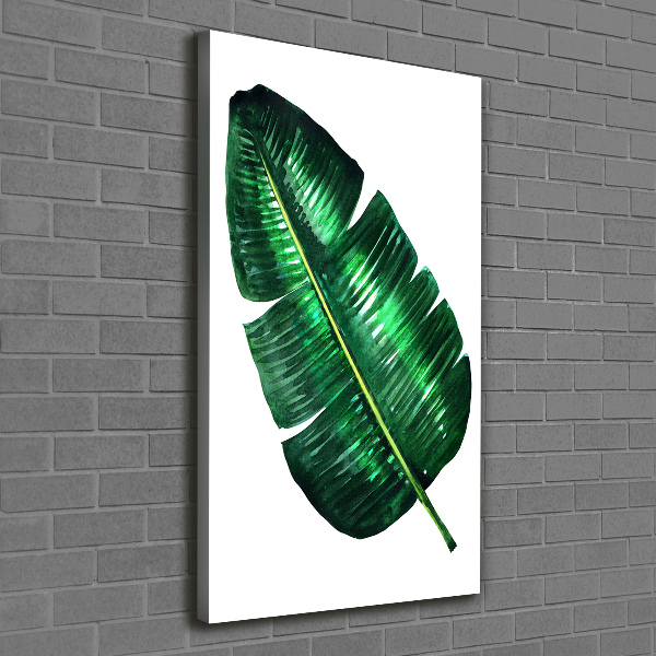 Canvas print Banana leaf