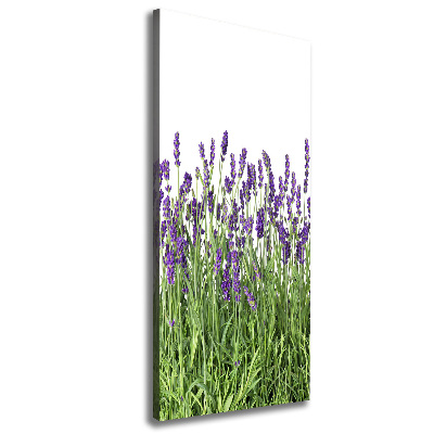 Canvas wall art Lavender field