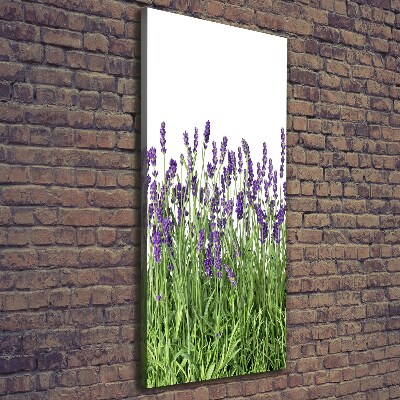 Canvas wall art Lavender field