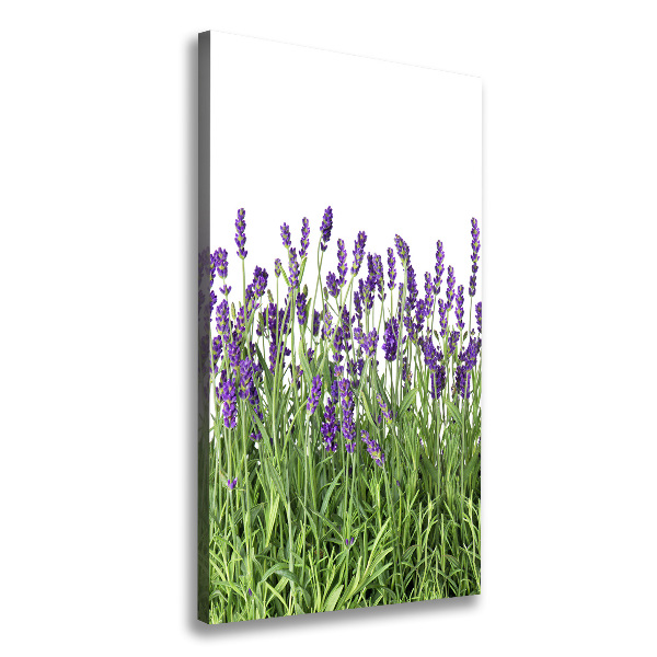 Canvas wall art Lavender field