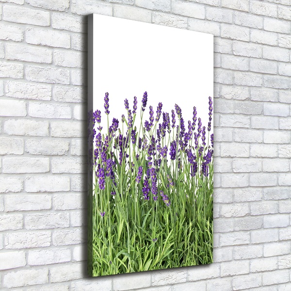 Canvas wall art Lavender field