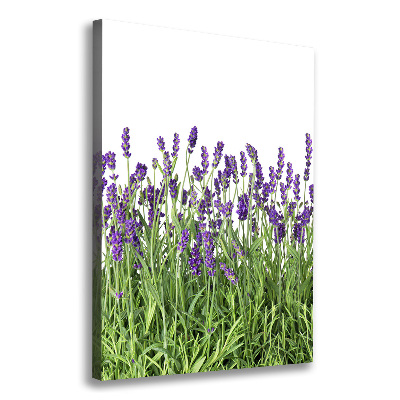 Canvas wall art Lavender field