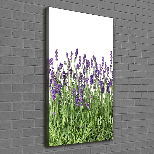 Canvas wall art Lavender field