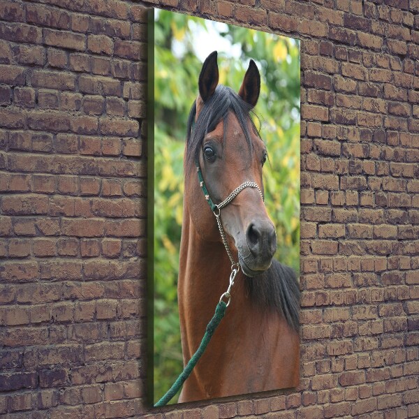 Canvas wall art Portrait of a horse