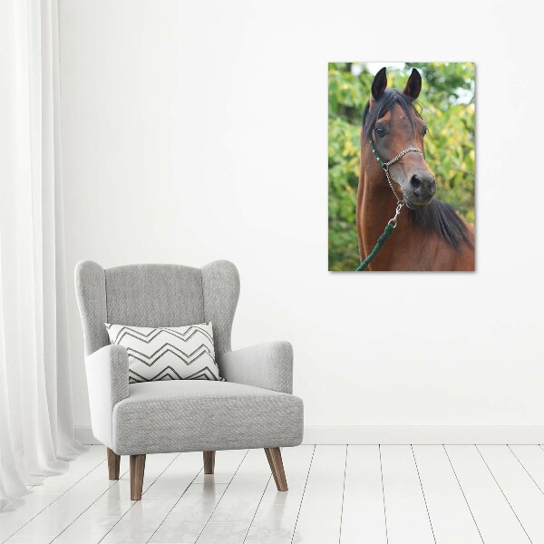 Canvas wall art Portrait of a horse