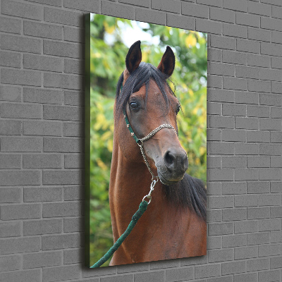 Canvas wall art Portrait of a horse