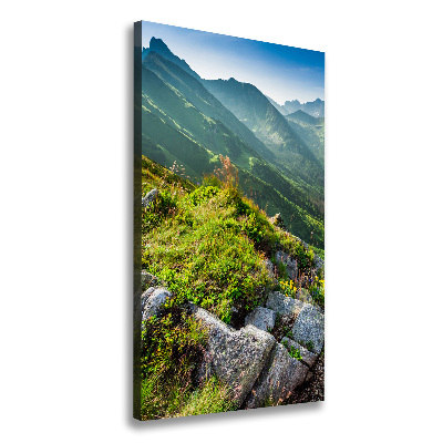 Wall art canvas large Mountains in the summer