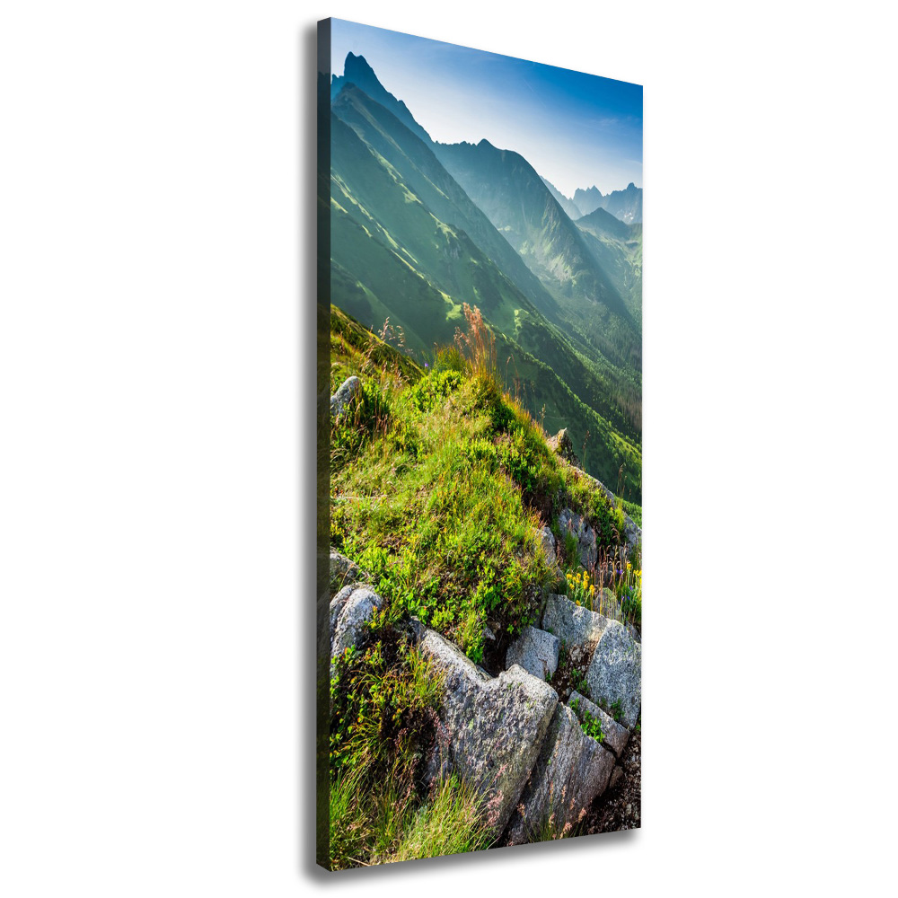 Wall art canvas large Mountains in the summer