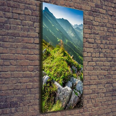 Wall art canvas large Mountains in the summer