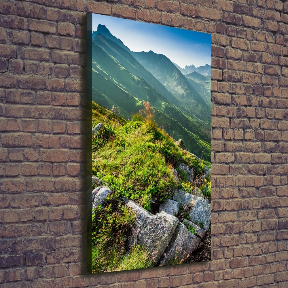 Wall art canvas large Mountains in the summer