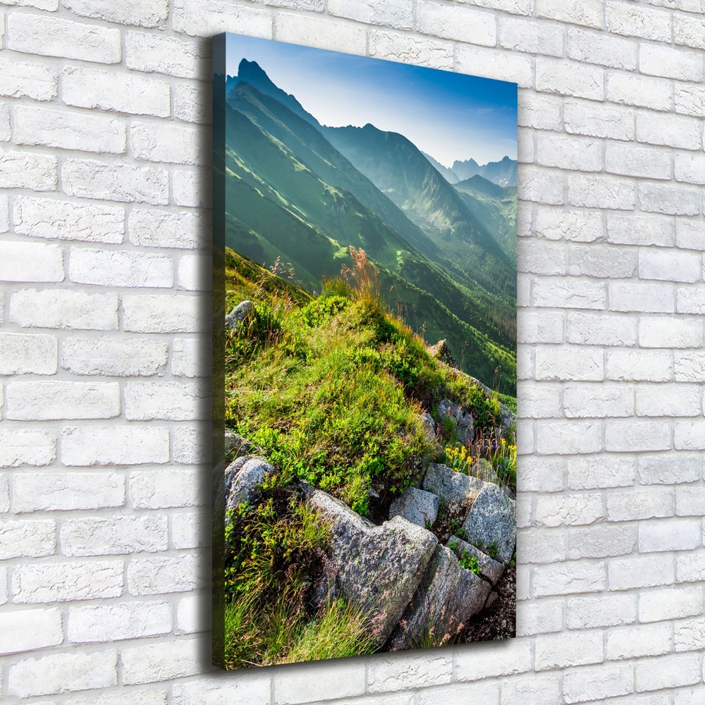 Wall art canvas large Mountains in the summer