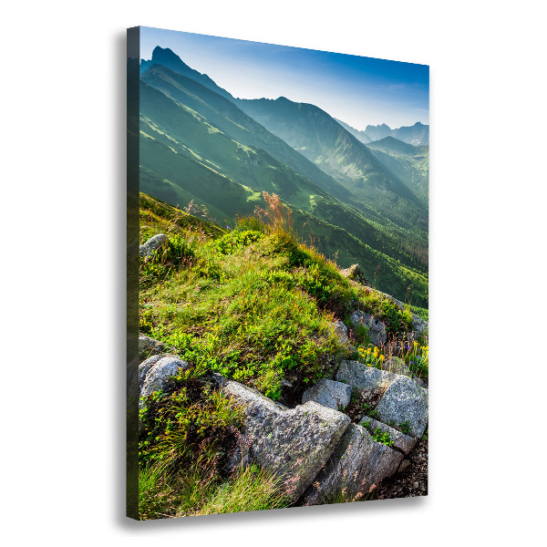 Wall art canvas large Mountains in the summer