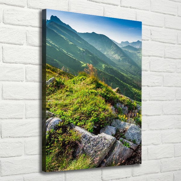 Wall art canvas large Mountains in the summer