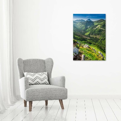 Wall art canvas large Mountains in the summer