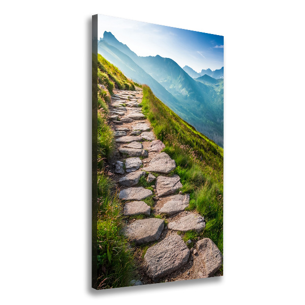 Canvas wall art Mountain trail