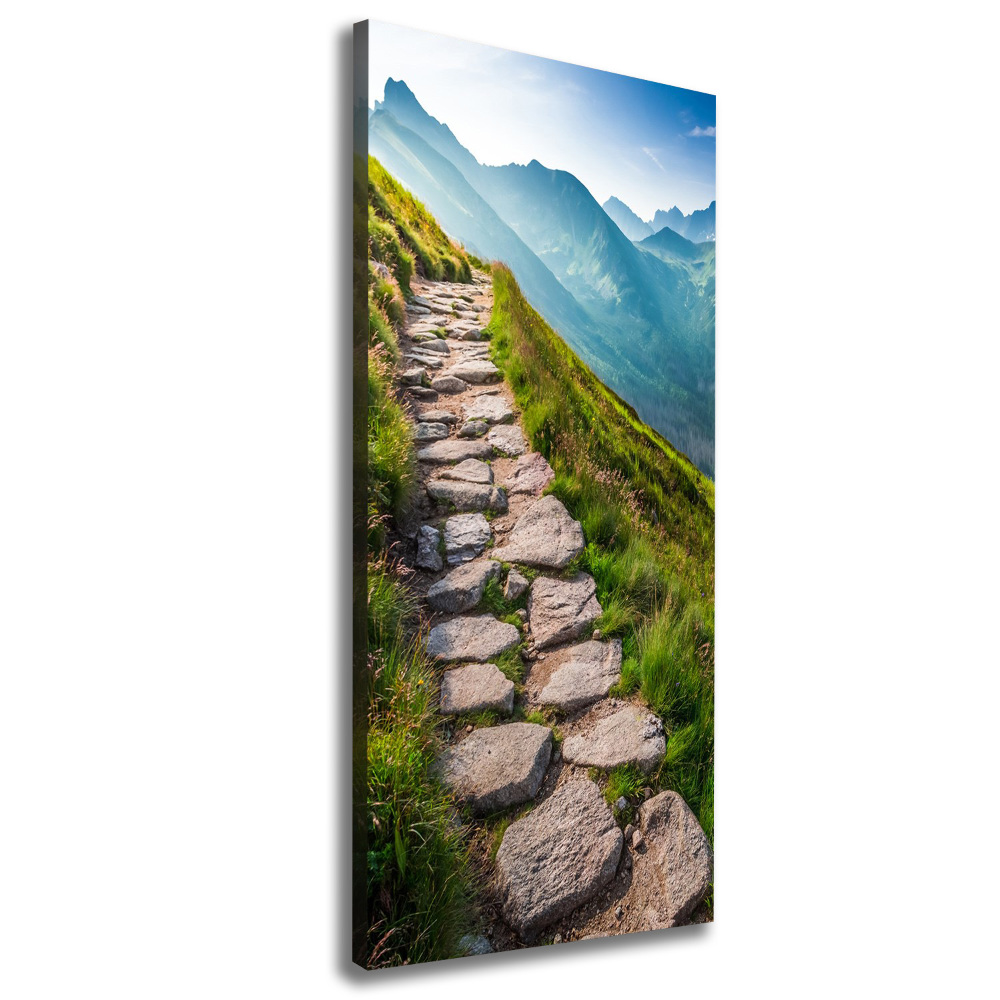 Canvas wall art Mountain trail