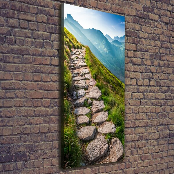 Canvas wall art Mountain trail