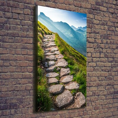 Canvas wall art Mountain trail