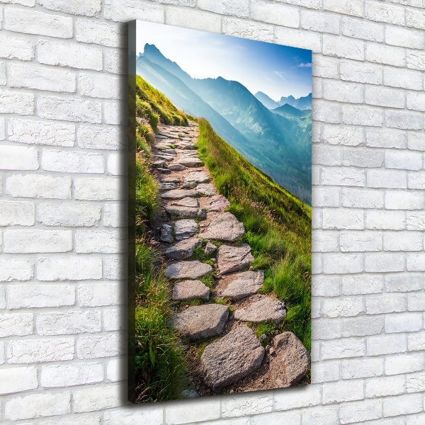 Canvas wall art Mountain trail