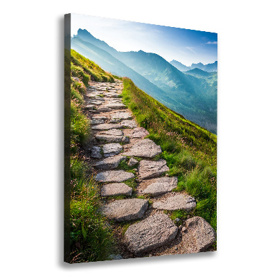 Canvas wall art Mountain trail