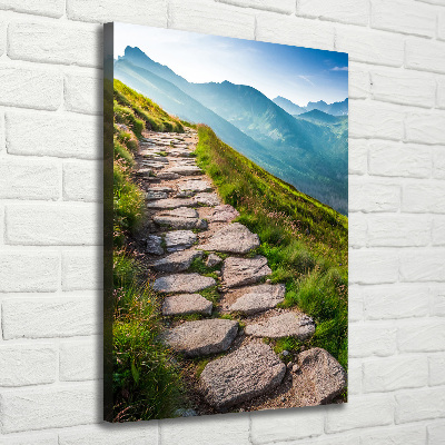 Canvas wall art Mountain trail