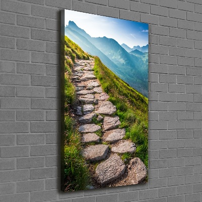 Canvas wall art Mountain trail