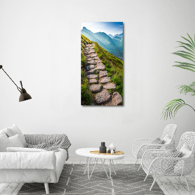 Canvas wall art Mountain trail