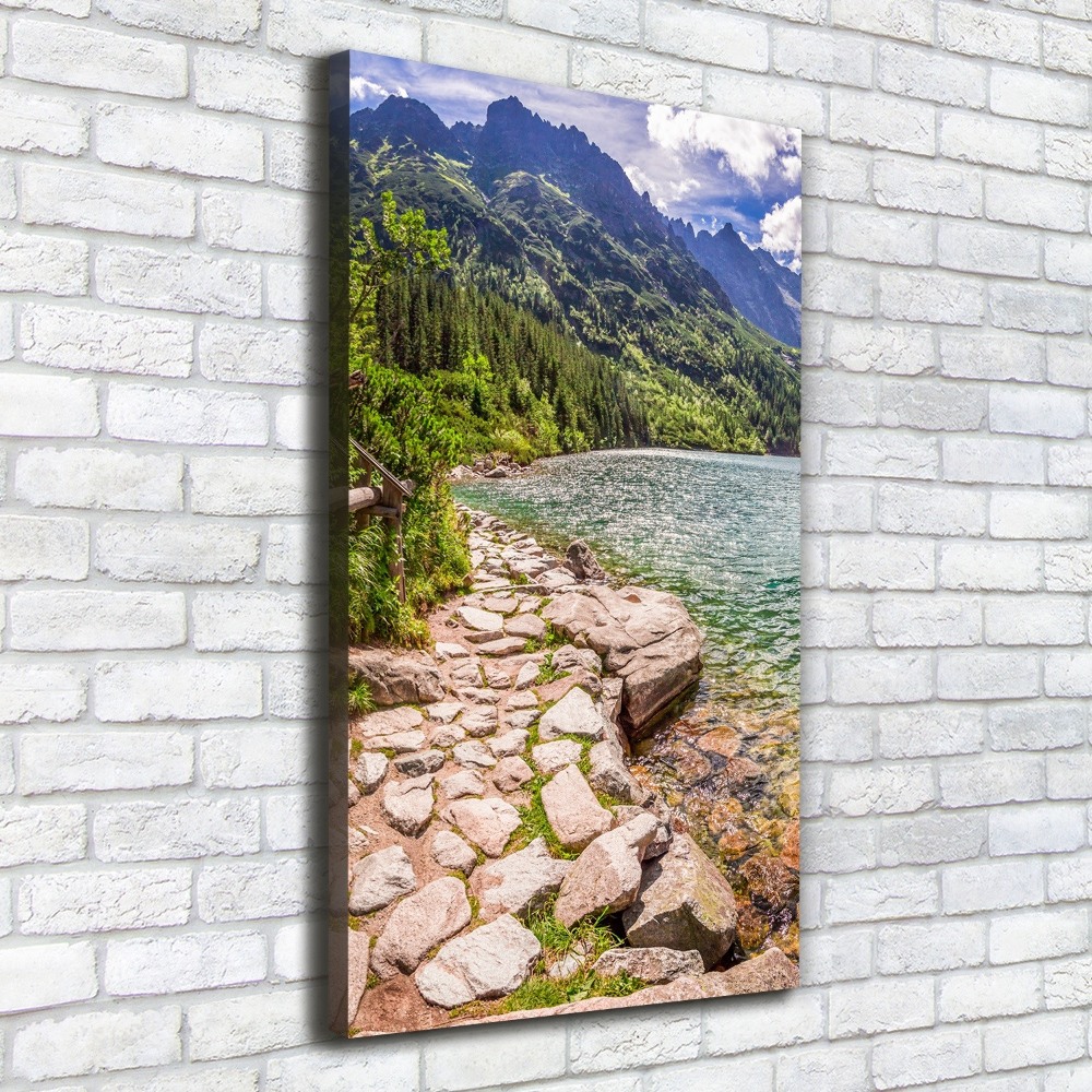 Canvas wall art Morskie Oko Tatry