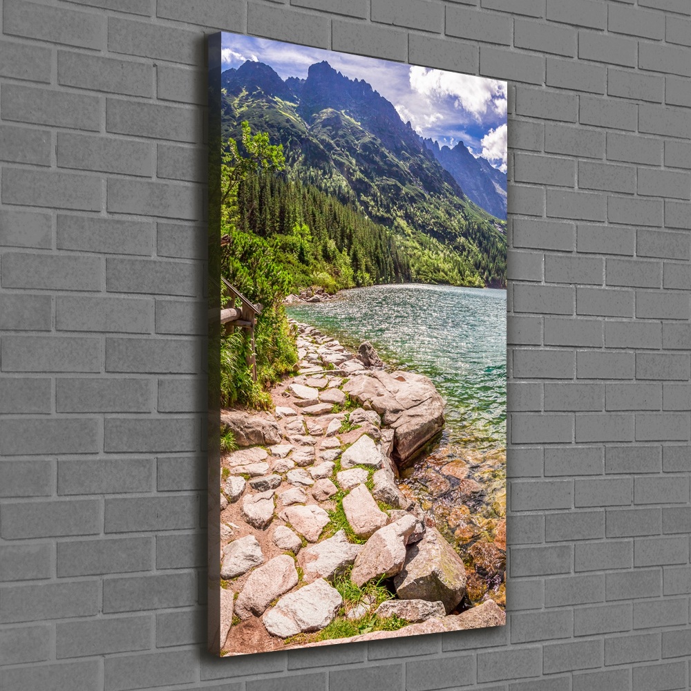 Canvas wall art Morskie Oko Tatry