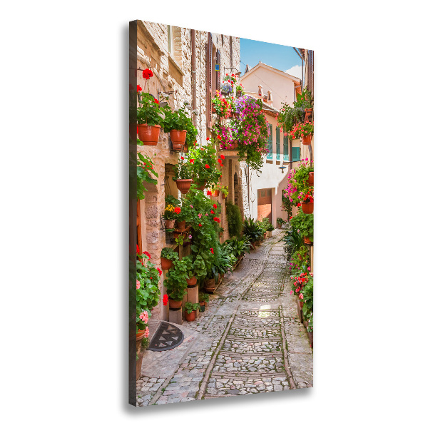 Wall art canvas Italian streets