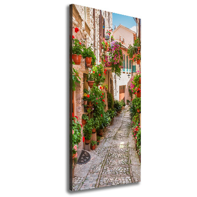 Wall art canvas Italian streets