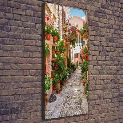 Wall art canvas Italian streets