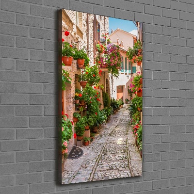 Wall art canvas Italian streets