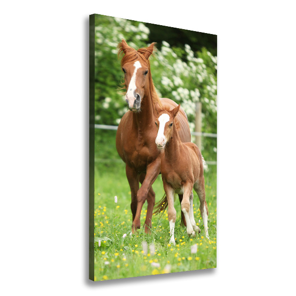 Canvas wall art Mare and foal