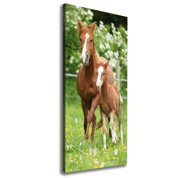 Canvas wall art Mare and foal