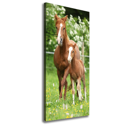 Canvas wall art Mare and foal