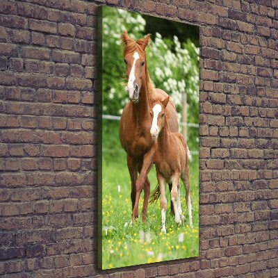 Canvas wall art Mare and foal