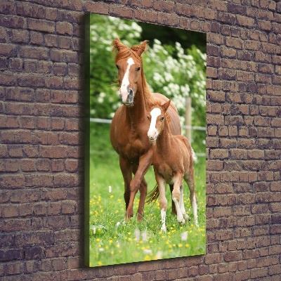 Canvas wall art Mare and foal