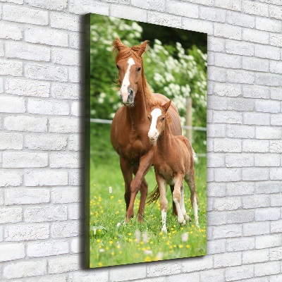 Canvas wall art Mare and foal