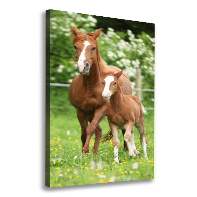 Canvas wall art Mare and foal