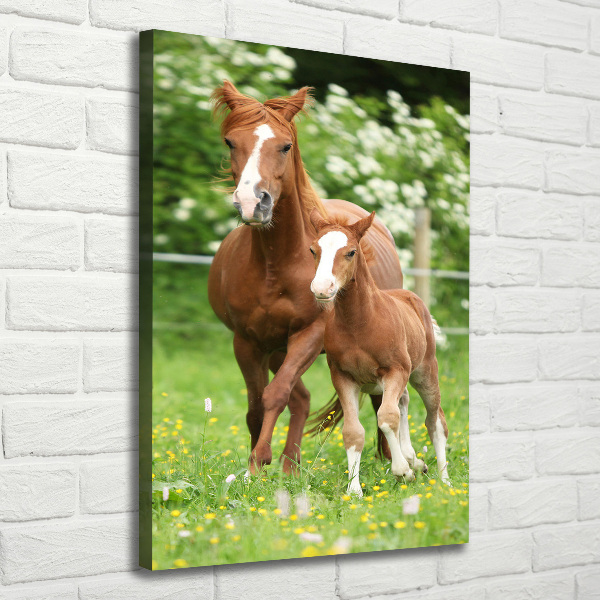 Canvas wall art Mare and foal