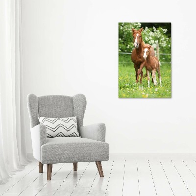 Canvas wall art Mare and foal