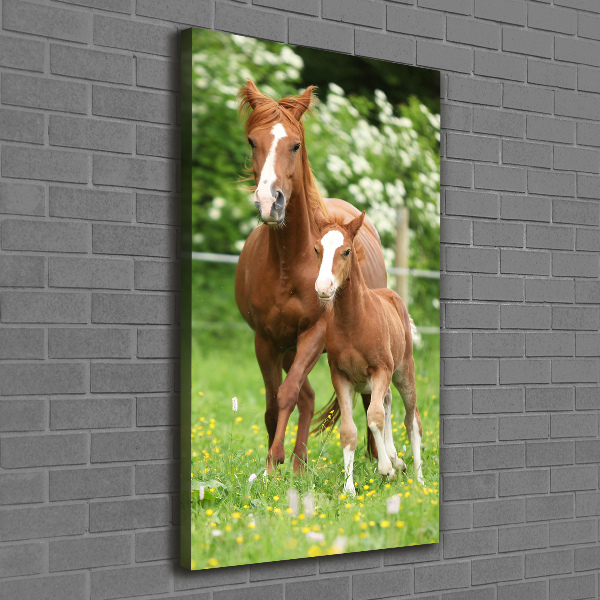 Canvas wall art Mare and foal