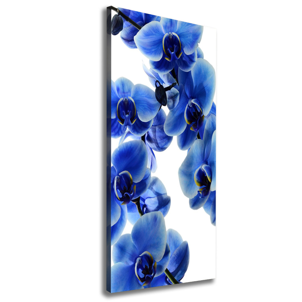 Canvas wall art Blue orchid