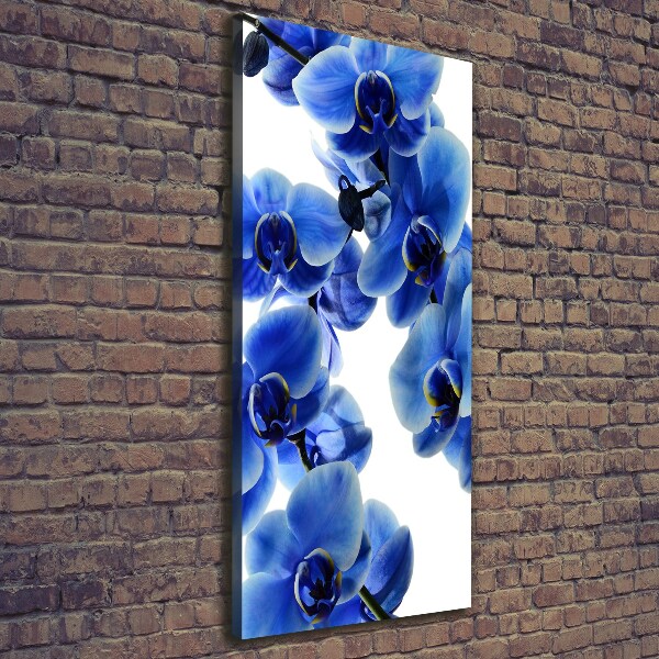 Canvas wall art Blue orchid